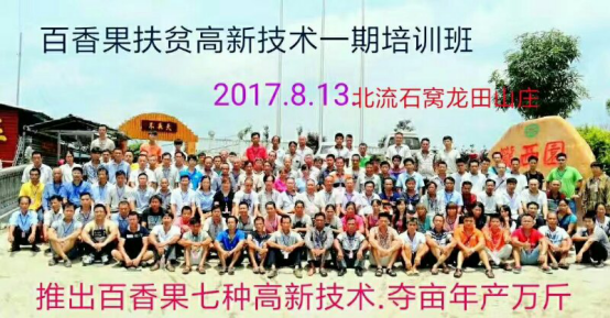 1513319267183461OEjN.png blob.png