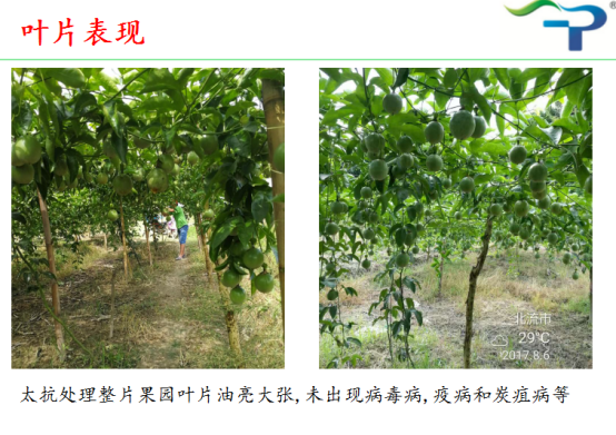 1513319333945893bE6T.png blob.png