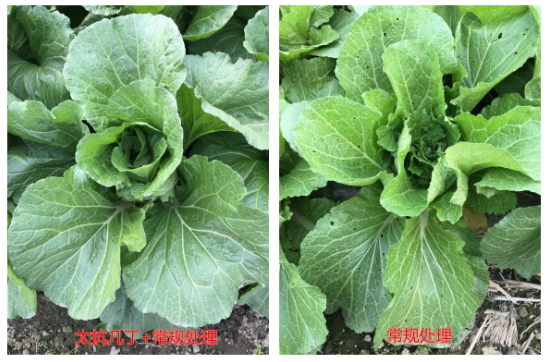 1513333343635532iVsP.png blob.png