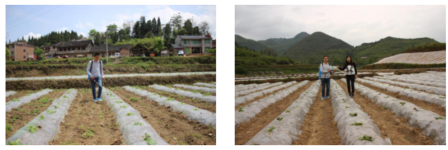 15133335354455614QLF.png blob.png