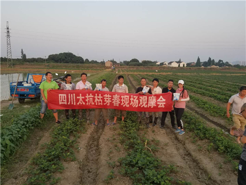 1530085172287622WeTH.png 圖片14.png