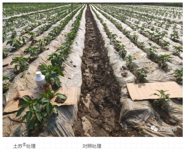 158737479124844512hd.png image.png