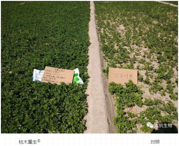 1587374844139438m72b.png image.png