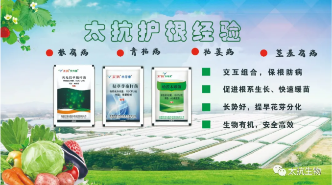 1638348611254387fIIY.png 5.png